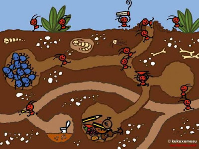 Coloreando letras: Hormigas, hormiguitas y hormigotas PROYECTO DE ...