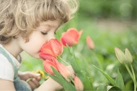 Descripción: La importancia del olfato en la generación de recuerdos en la infancia